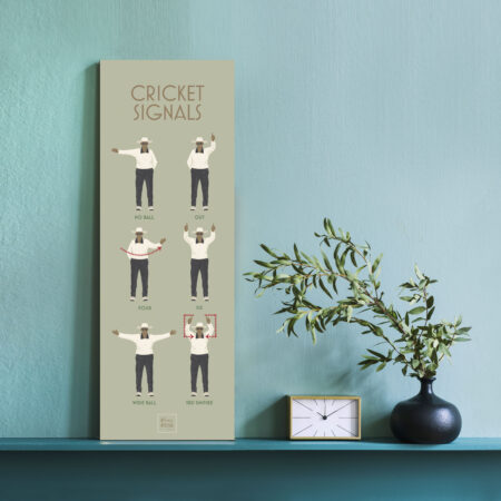 Cricket Signals